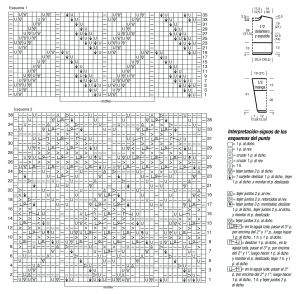 jersey esquema