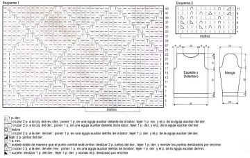 jersey esquema