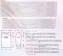 Jersey esquema