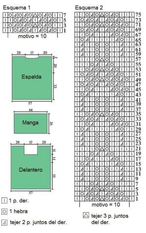 jersey esquema