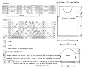 Jersey esquema