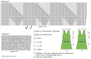 tunica esquema