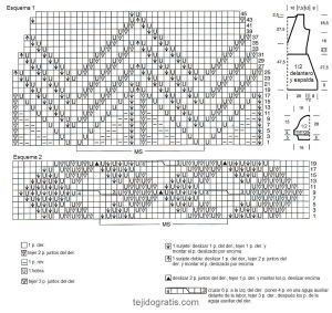 Tunica esquema