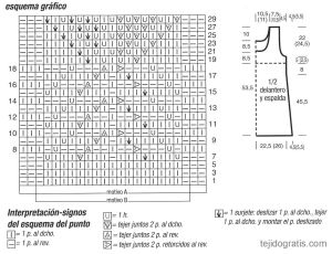 Tunica esquema