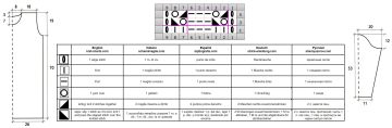 tunica esquema